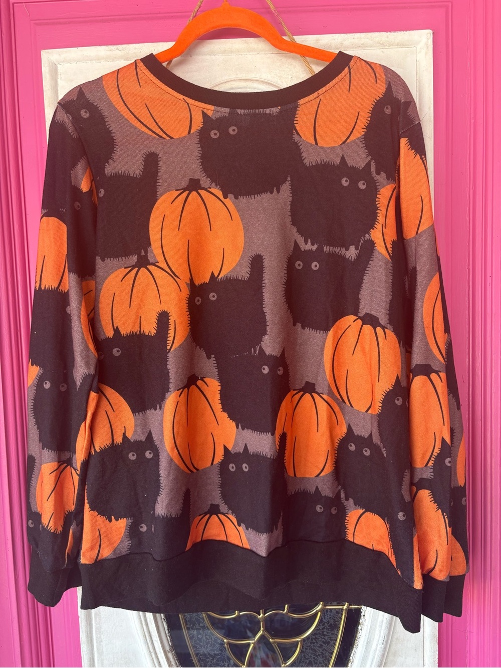 Halloween chubby fluffy Cat & Pumpkin Print Long Sleeve Top - Black & Orange